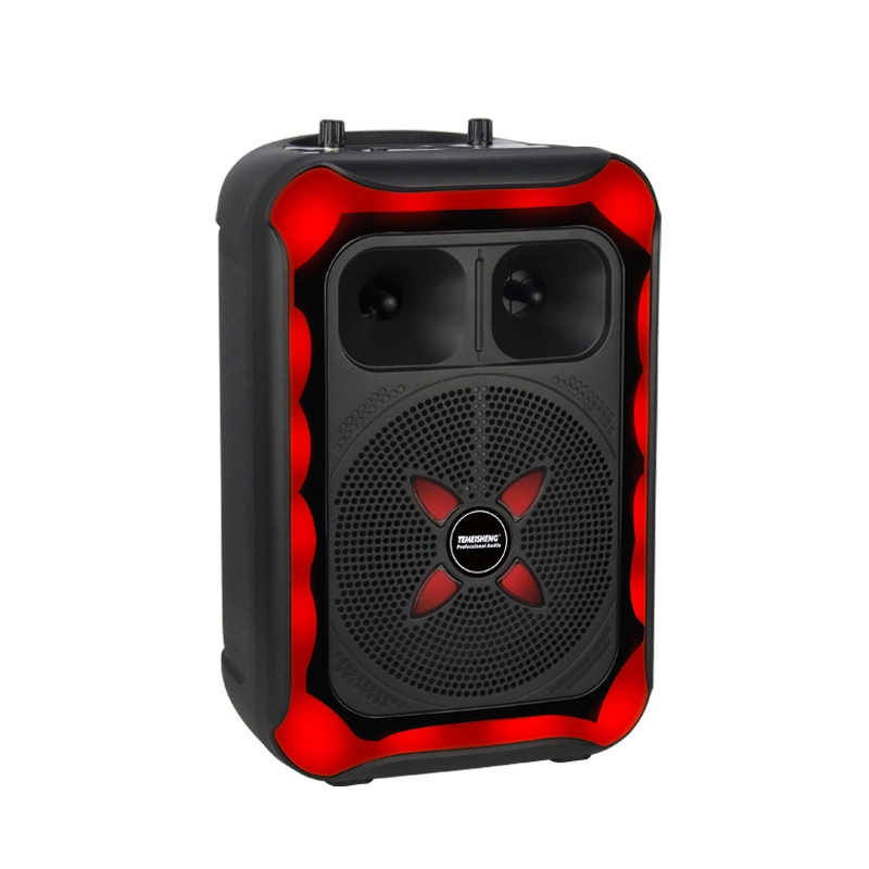Original Accessories Karaoke Music Design Colorful Light Speaker 8 Inch Woofer with Horn Tweeter Bluetooth Portable Speaker with Wireless Microphone
