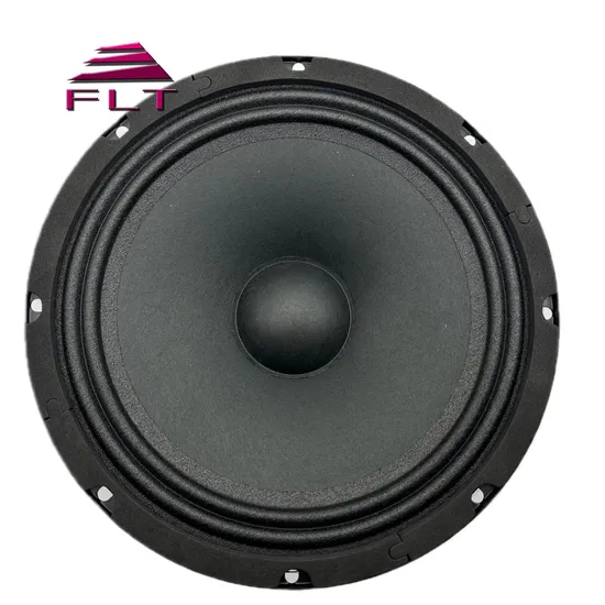 中国メーカーの格安 8 インチミッドレンジカースピーカー