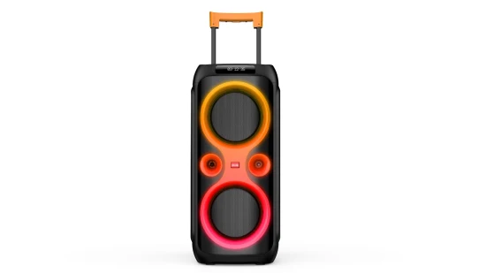 2022 プライベートスピーカー、強力なサウンド PA ダブル 10 インチワイヤレス Bluetooth DJ ディスコカラオケウーファーパーティースピーカー内蔵アンプ付き Caixa De Son De 100W